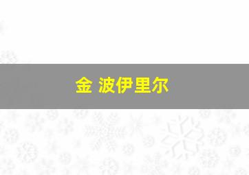 金 波伊里尔